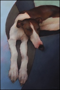 long sleeping greyhound 51&middot;76
SOLD